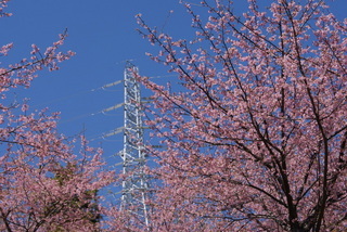 ���������C�ł�