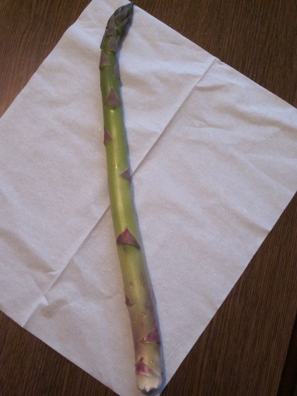 ���������C�ł�