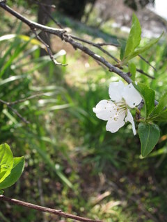 ���������C�ł�