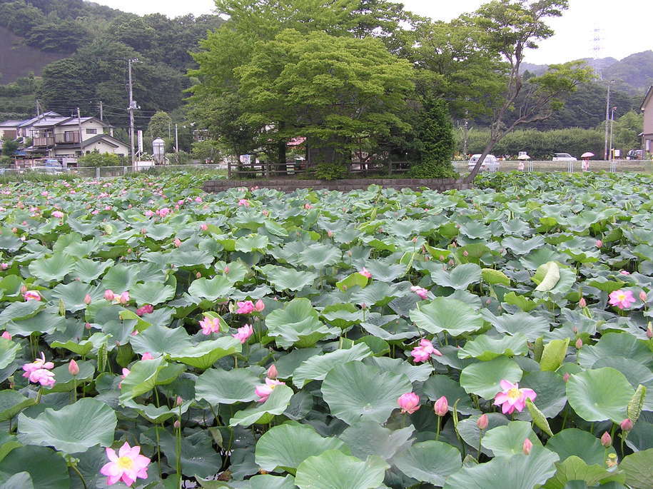 ���������C�ł�