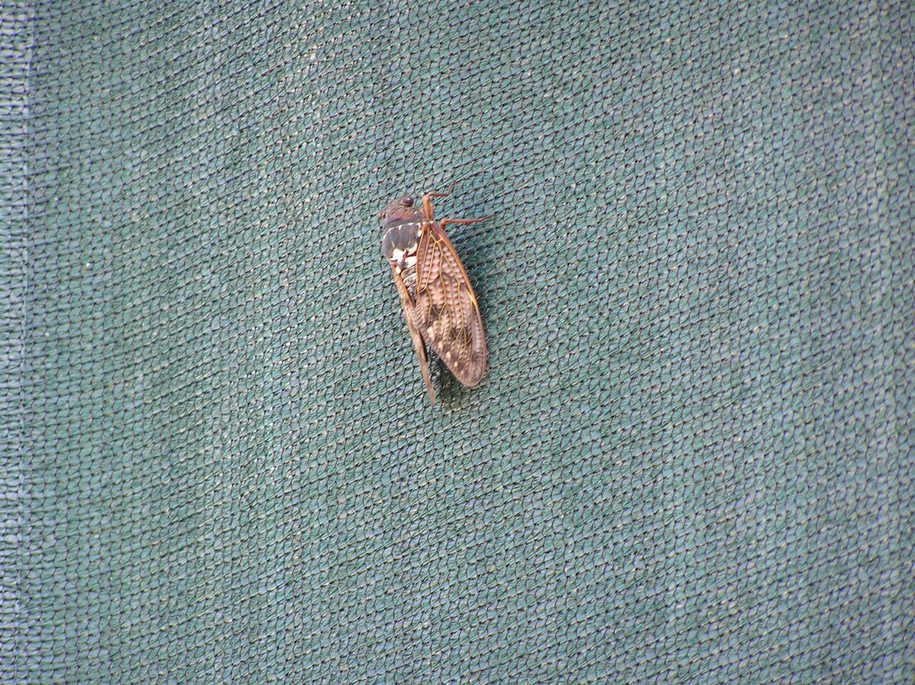 ���������C�ł�