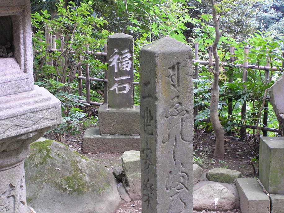 ���������C�ł�