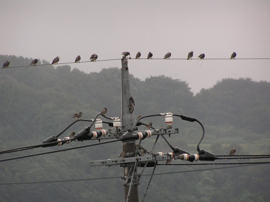 ���������C�ł�