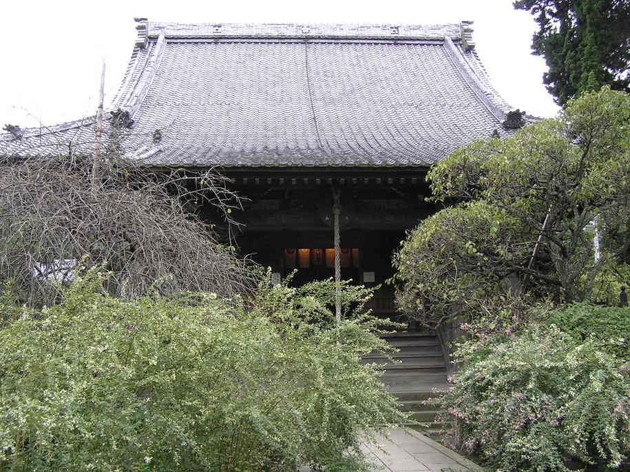 ���������C�ł�