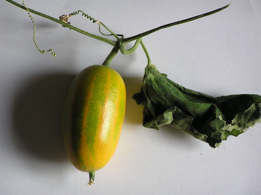 ���������C�ł�