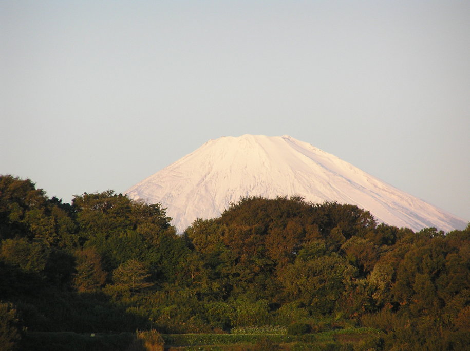 ���������C�ł�