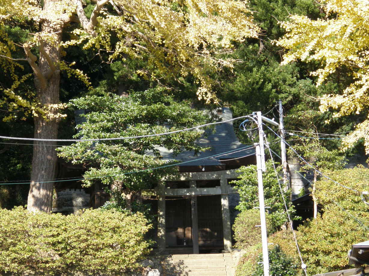 ���������C�ł�