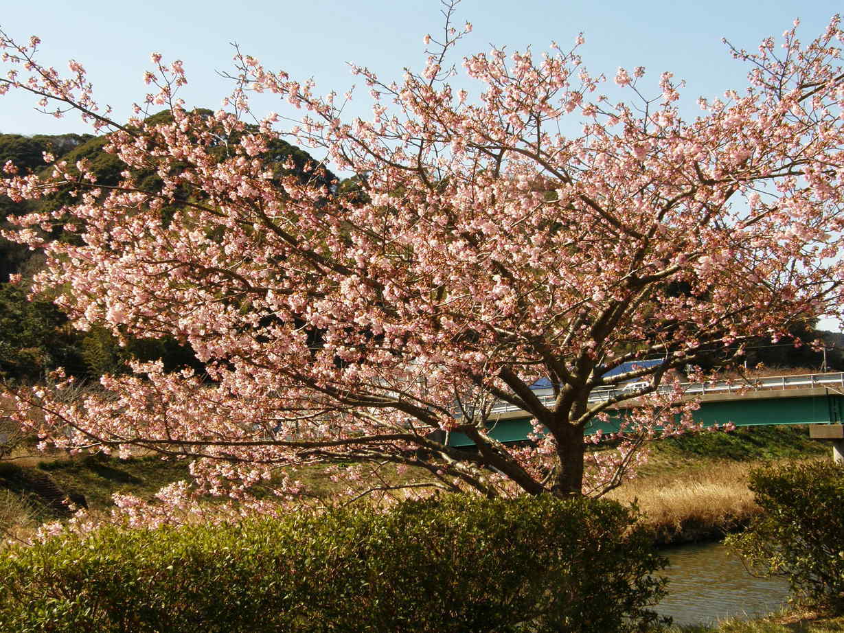 ���������C�ł�