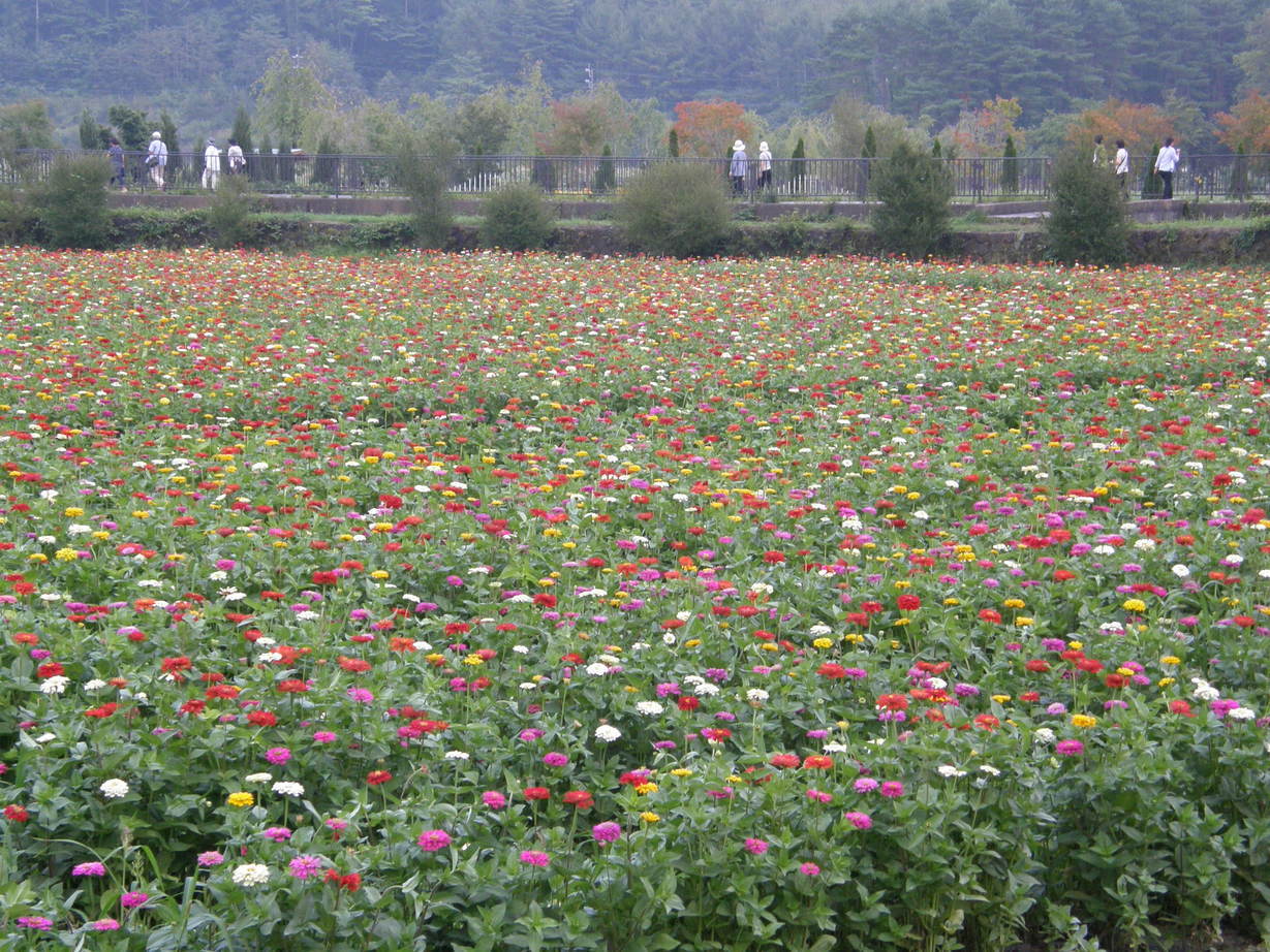 ���������C�ł�