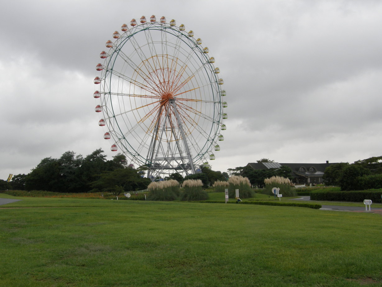 ���������C�ł�