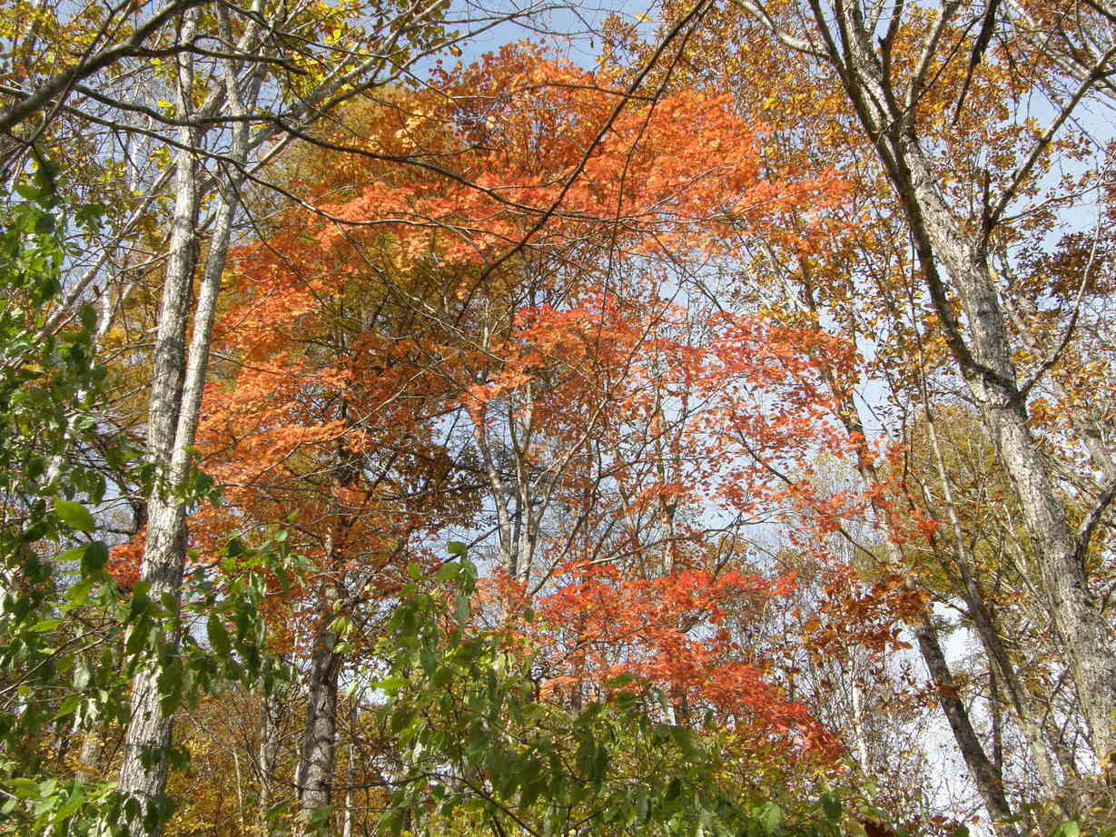 ���������C�ł�