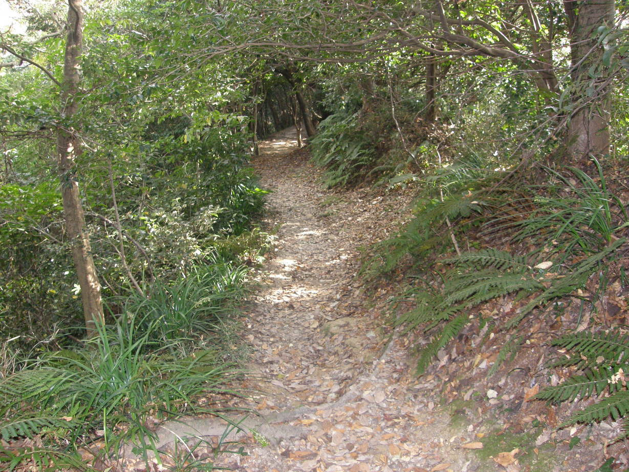 ���������C�ł�