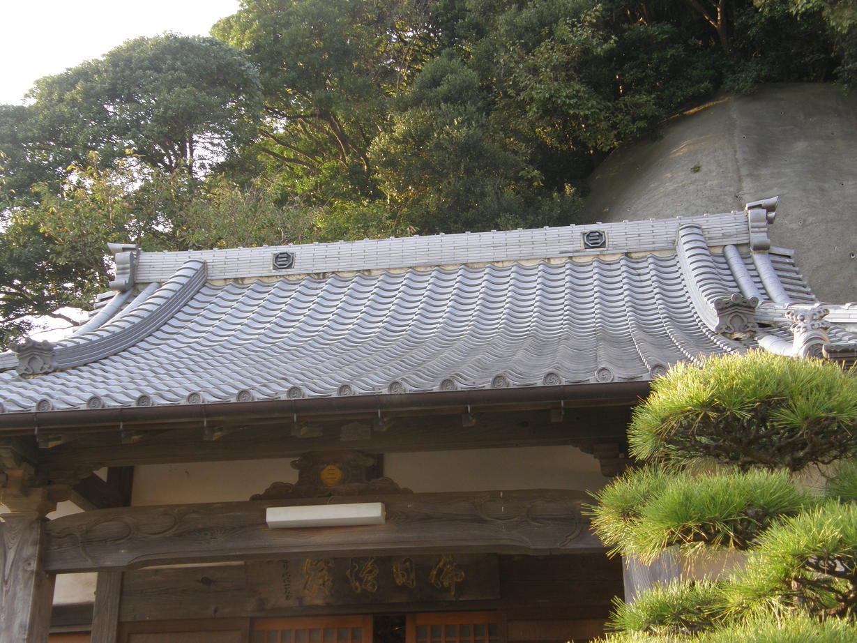 ���������C�ł�