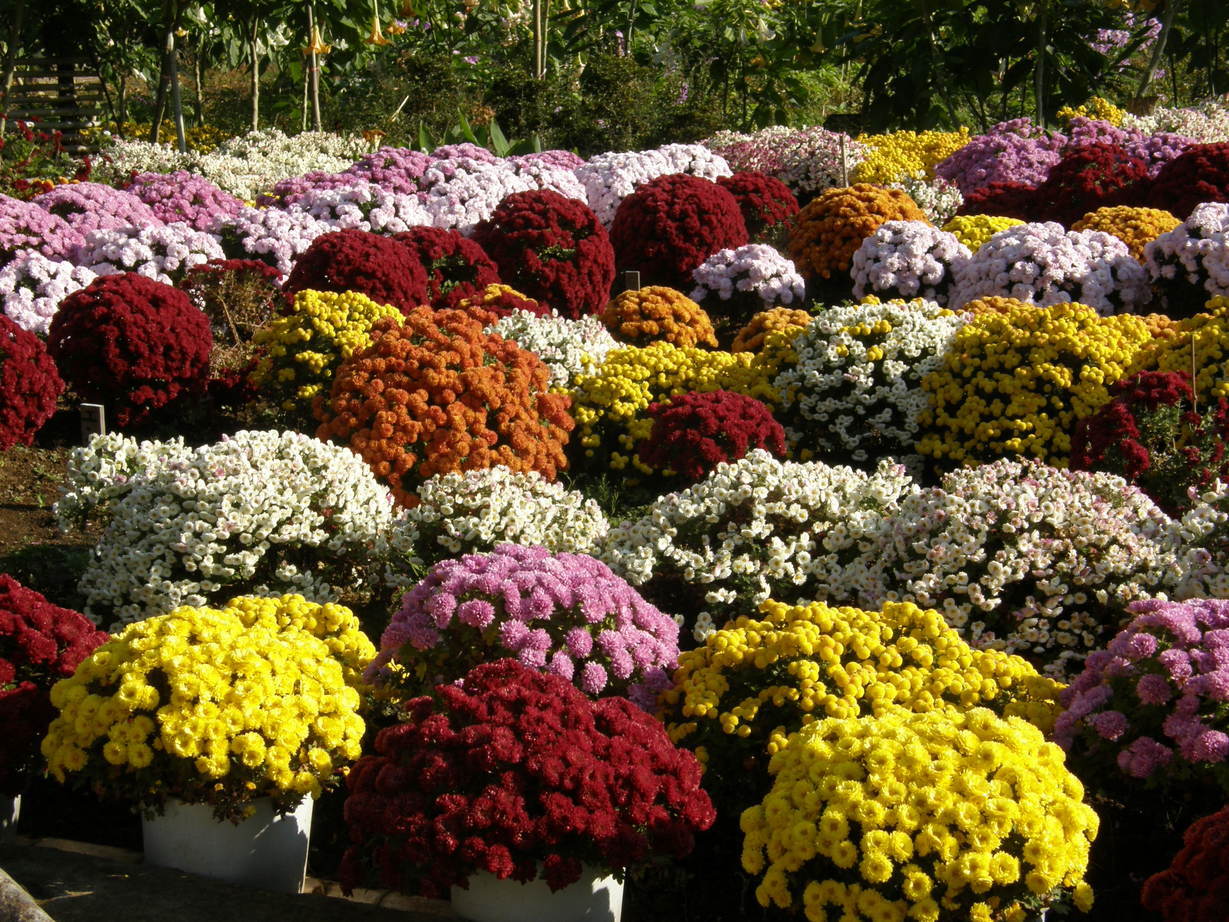 ���������C�ł�