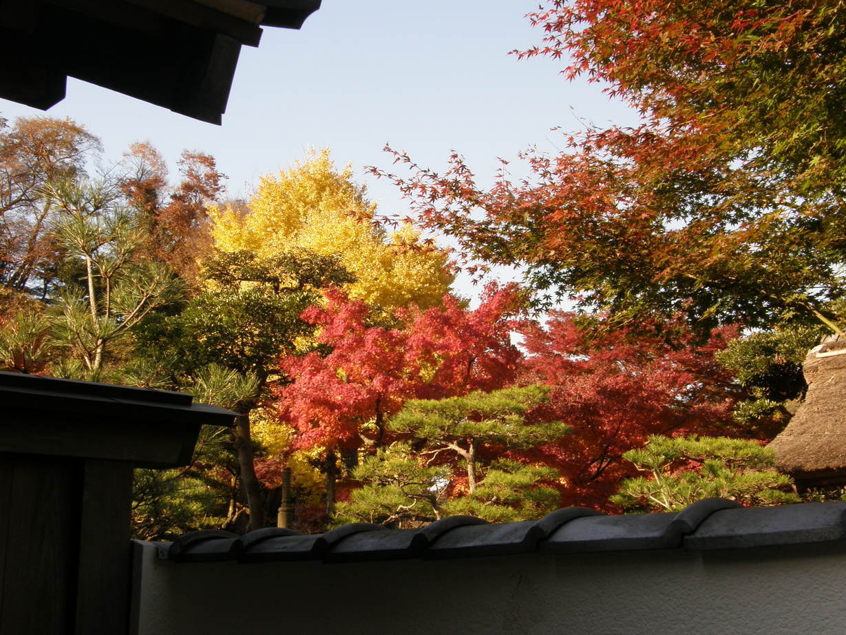 ���������C�ł�