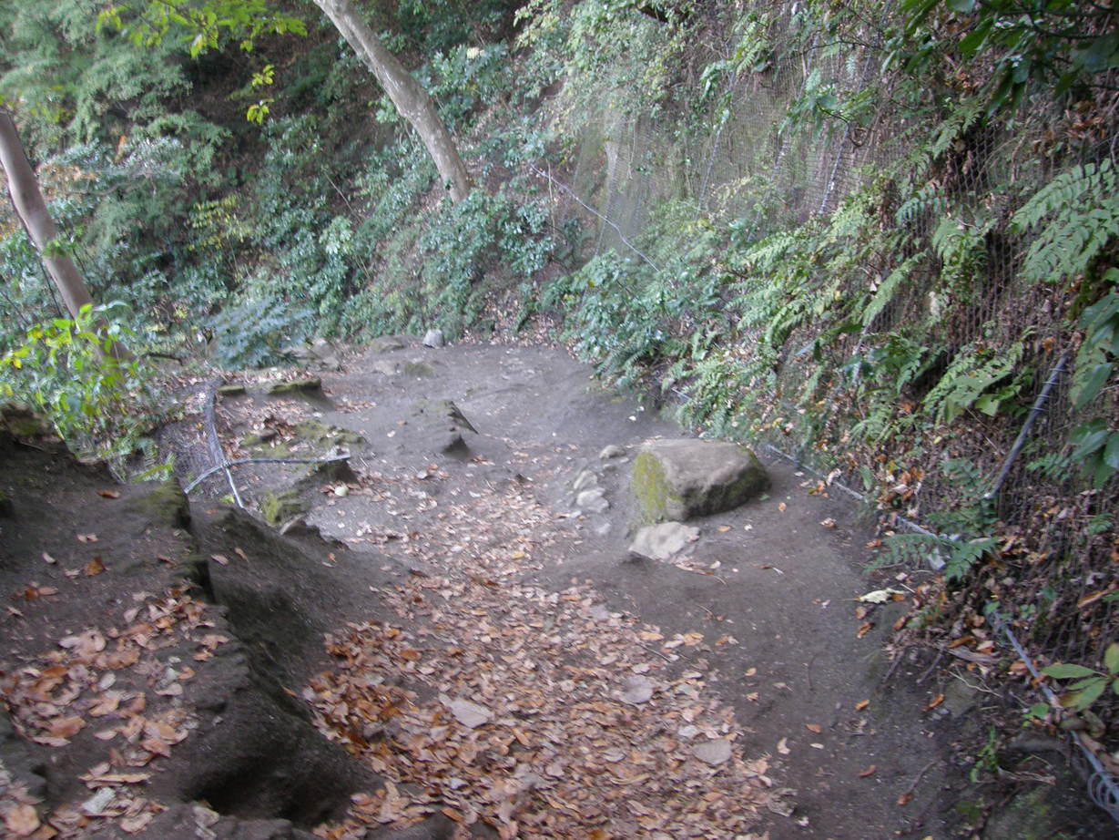 ���������C�ł�