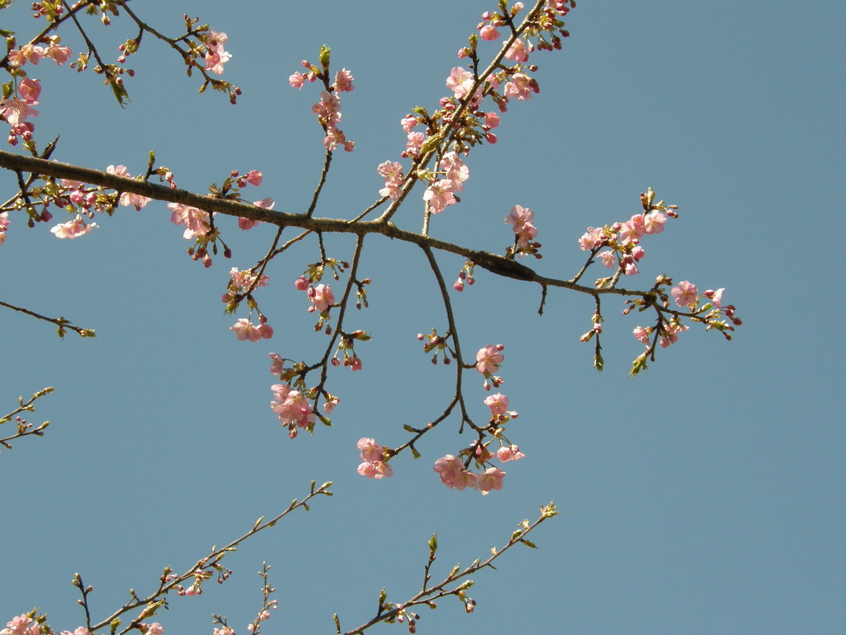 ���������C�ł�