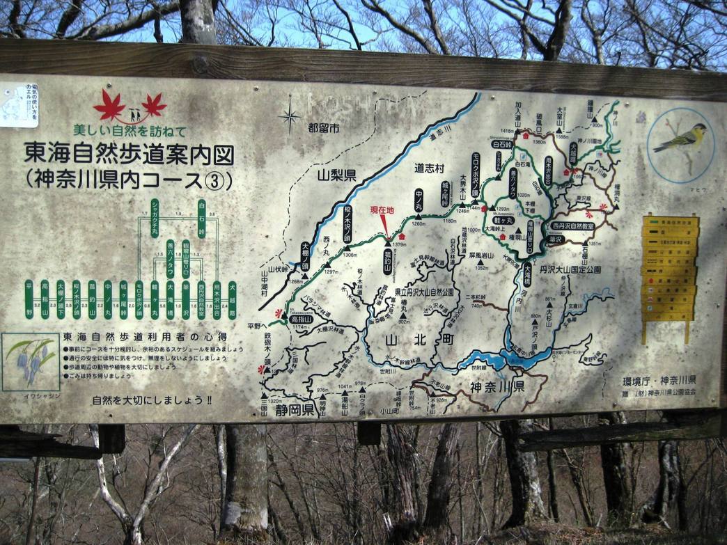 �J���L���u���O