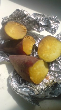 �J���L���u���O