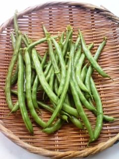 �J���L���u���O