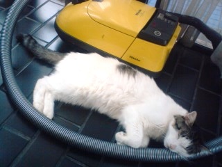 �J���L���u���O