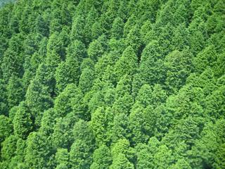 �J���L���u���O