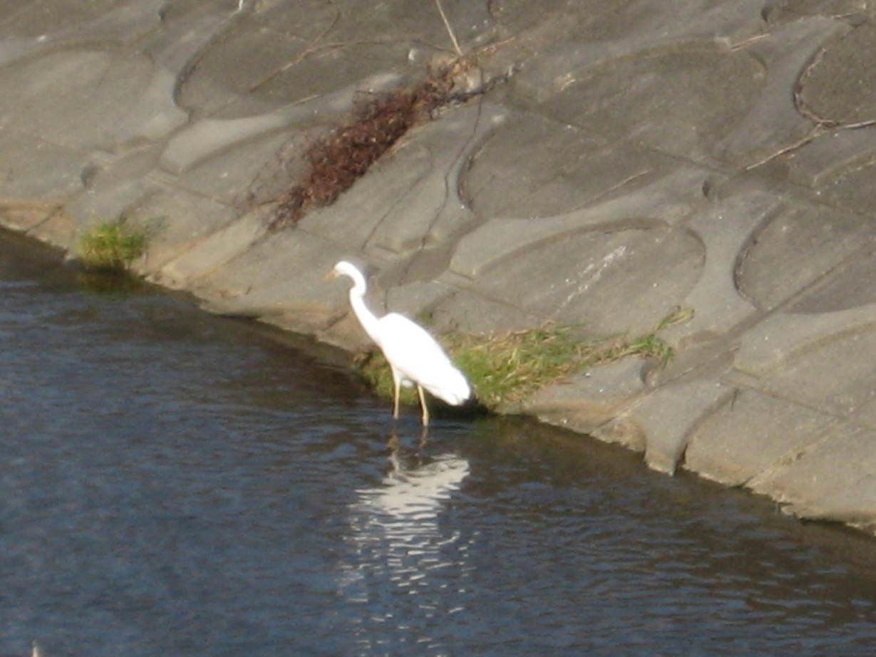 �J���L���u���O