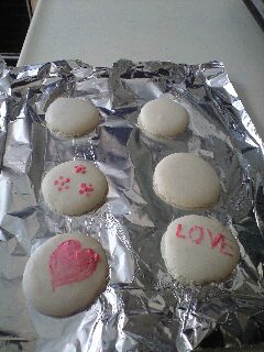 �J���L���u���O