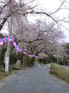 �J���L���u���O