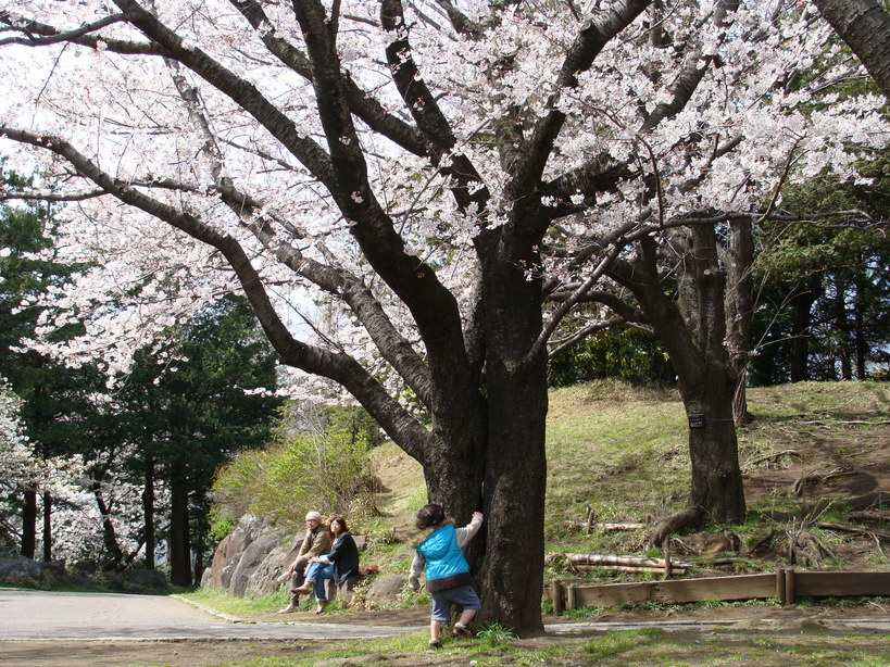 �J���L���u���O