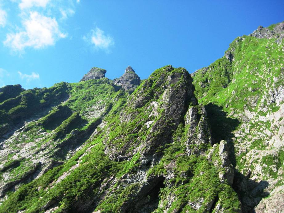 �J���L���u���O