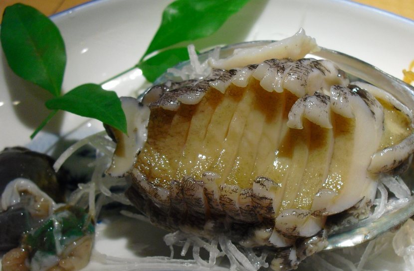 �J���L���u���O