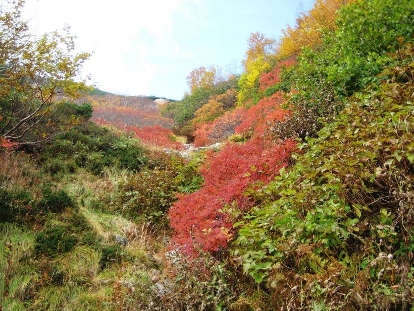 �J���L���u���O