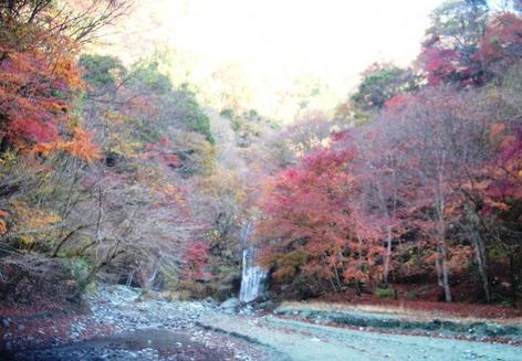 �J���L���u���O