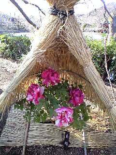 �J���L���u���O