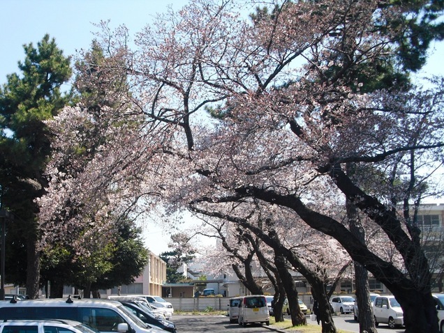 �J���L���u���O