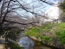 �J���L���u���O