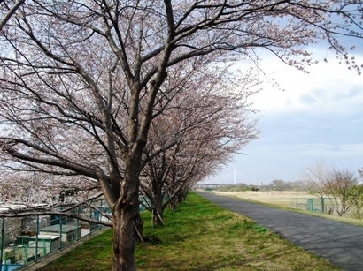 �J���L���u���O