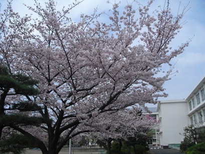 �J���L���u���O