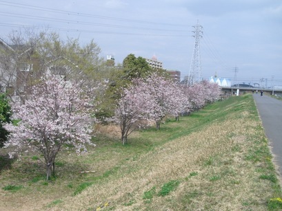 �J���L���u���O