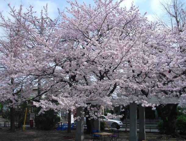 �J���L���u���O