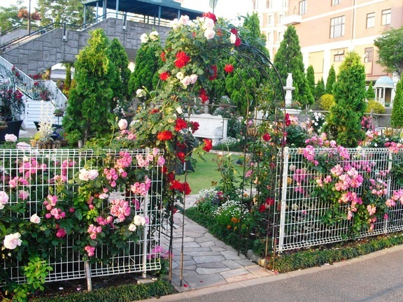 �J���L���u���O