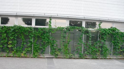 �J���L���u���O