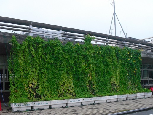 �J���L���u���O