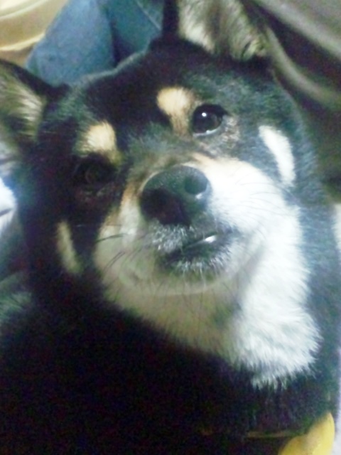 �J���L���u���O