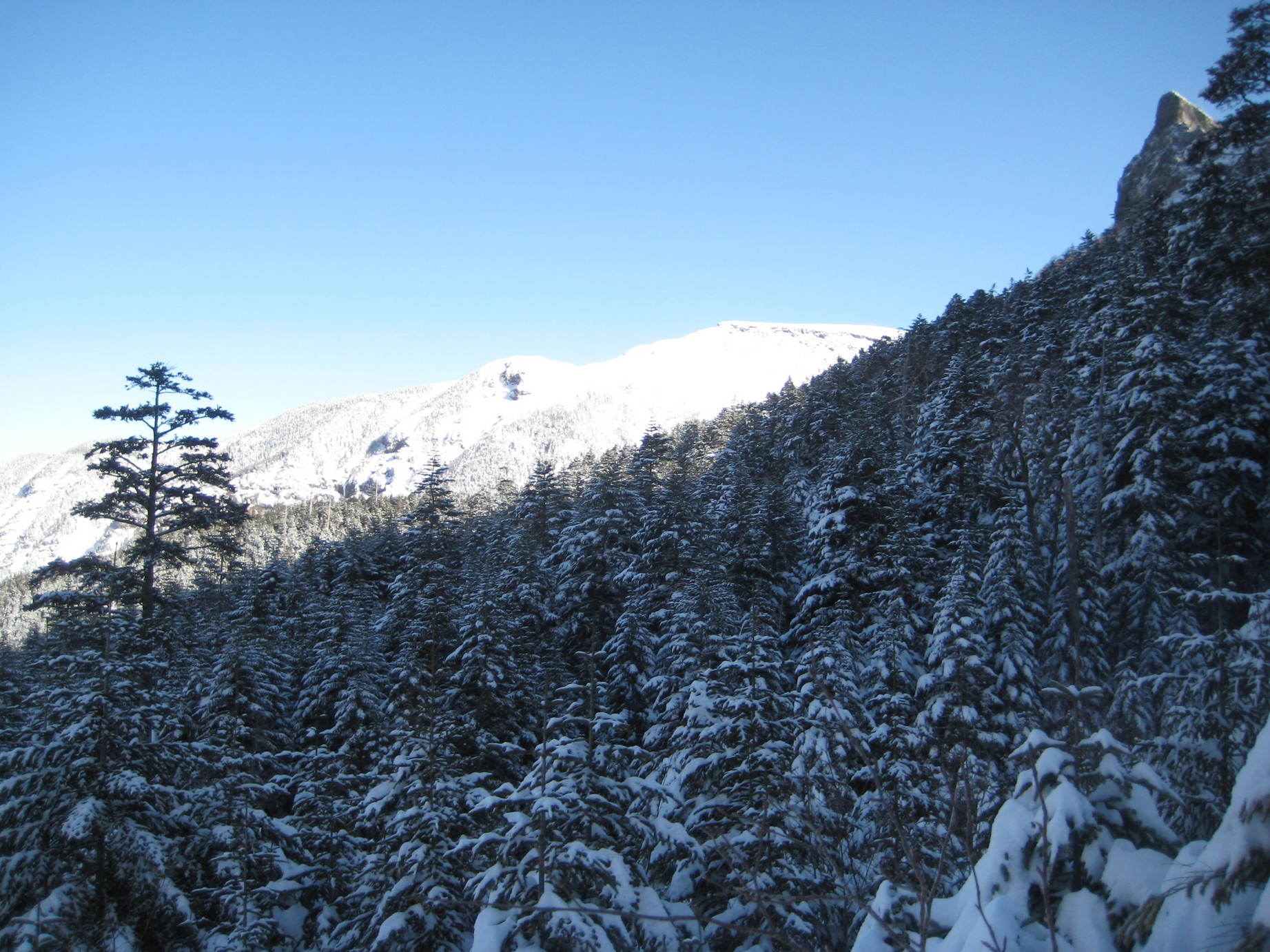 �J���L���u���O