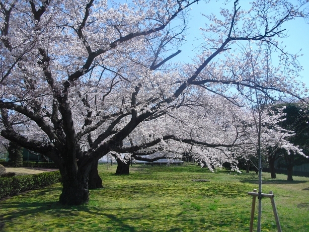 �J���L���u���O