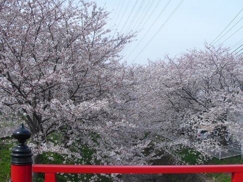 �J���L���u���O