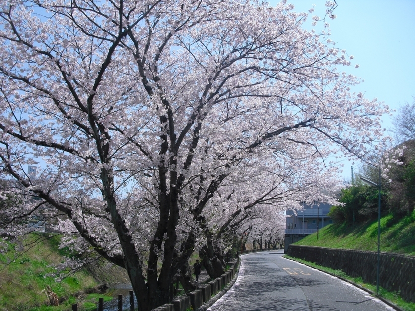 �J���L���u���O