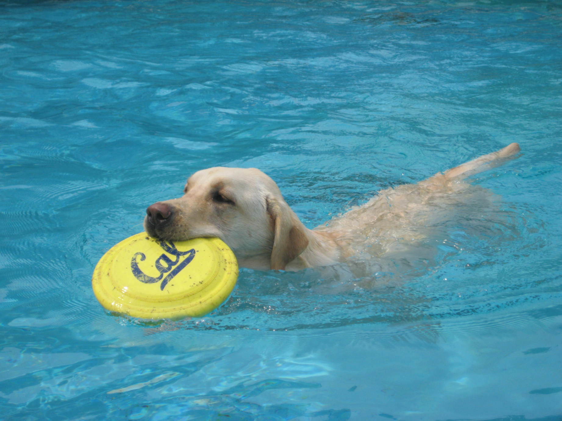 �J���L���u���O